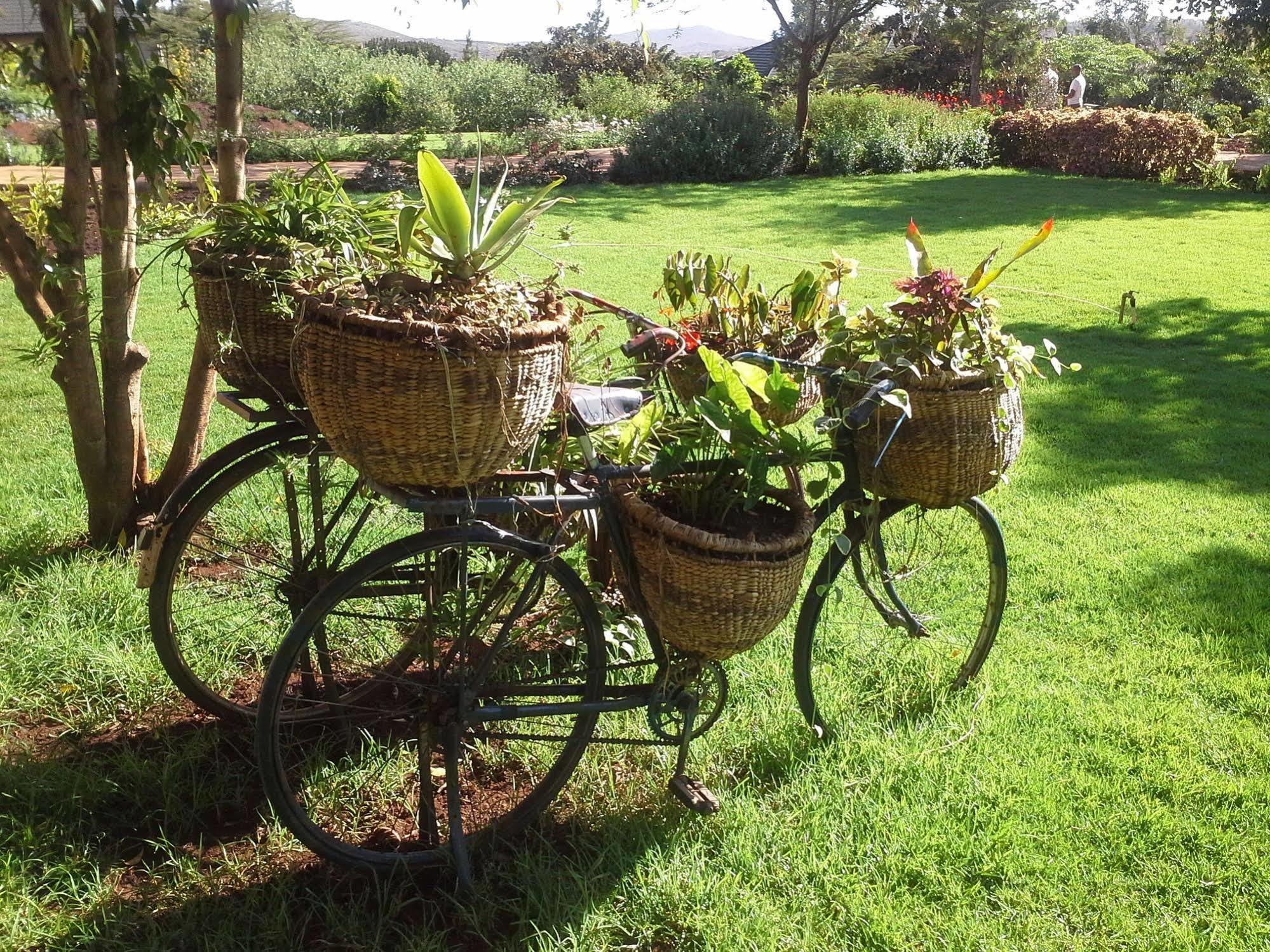 Acacia Farm Lodge Ngorongoro Eksteriør bilde